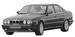 BMW E34 B204C Fault Code